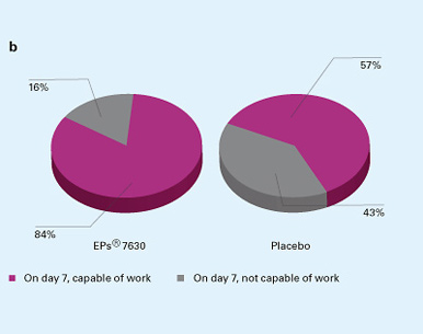 Fig. 6: Changes in Bronchitis Severity Score (a, acc. to [56]) and ability to work on day 7 (b, acc. to [55]) with EPs<sup>®</sup> 7630 versus placebo.